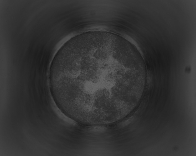 X0000091861090200710031035