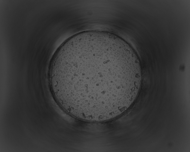 X0000091861091200710031035