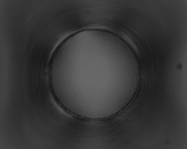 X0000091861092200710031035