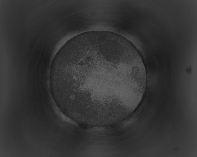 X0000091861094200710031035