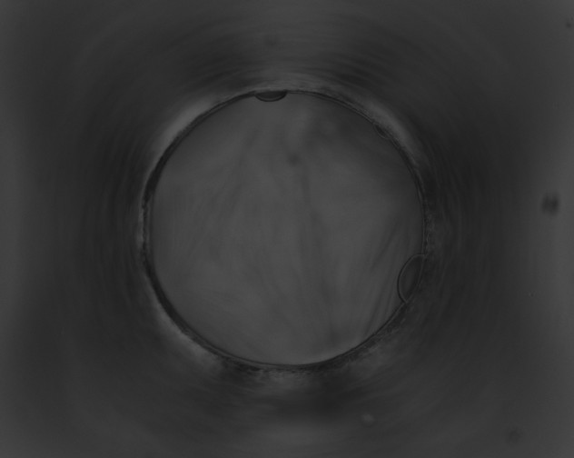 X0000091861095200710031035