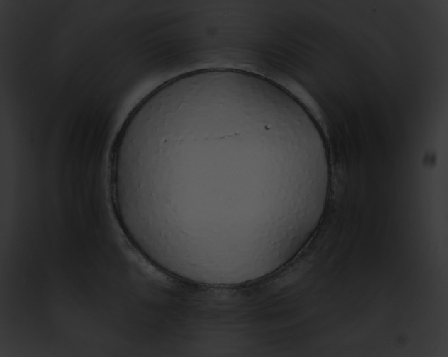 X0000091861096200710031035