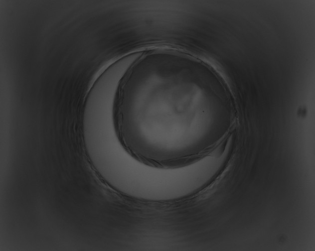 X0000091861097200710031035