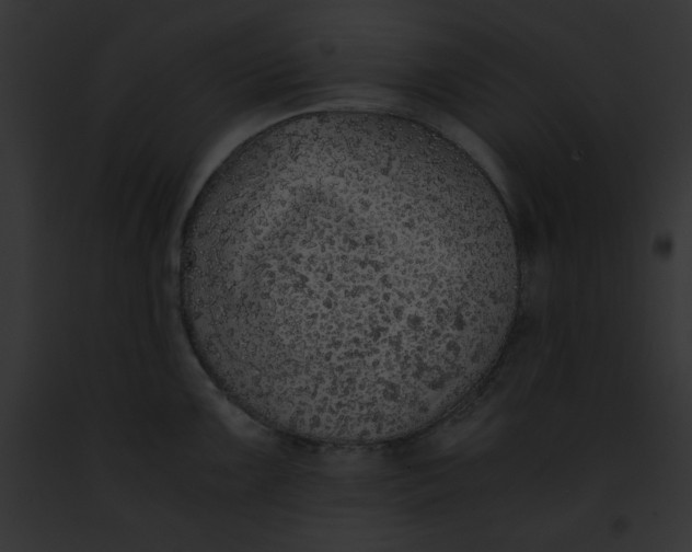 X0000091861099200710031035