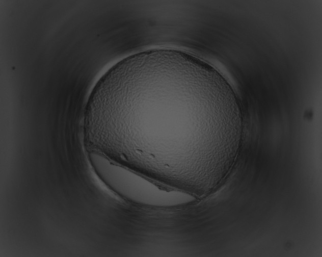 X0000091861100200710031035