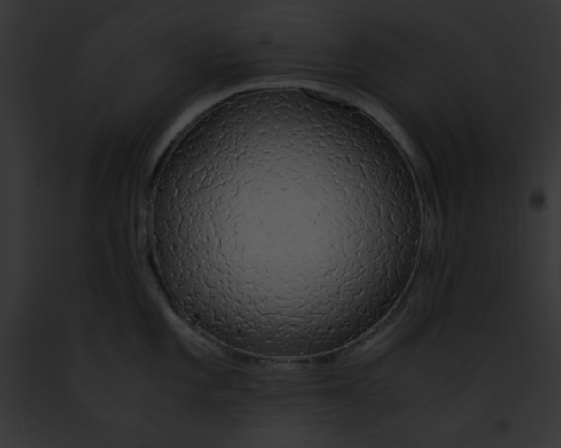 X0000091861101200710031035