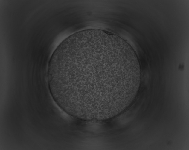 X0000091861103200710031035