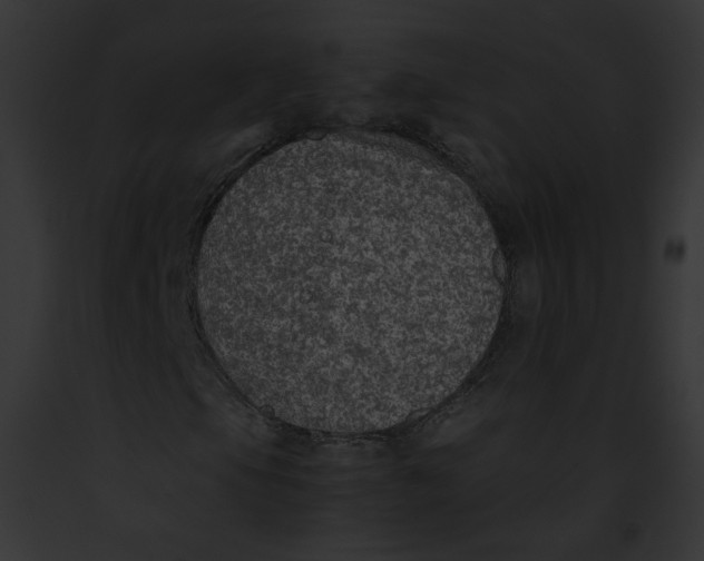 X0000091861105200710031034