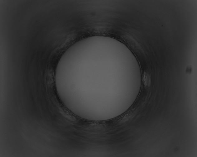 X0000091861107200710031034