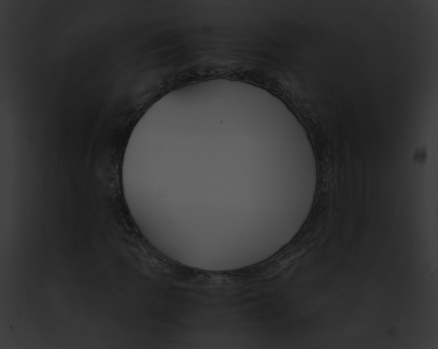 X0000091861109200710031034