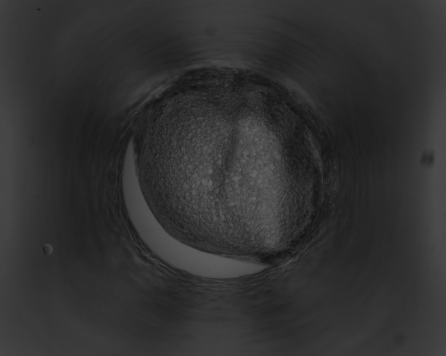 X0000091861110200710031034