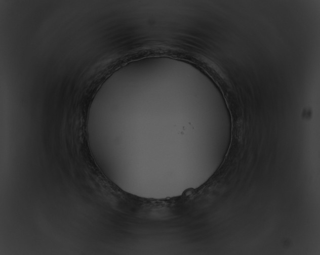 X0000091861111200710031034