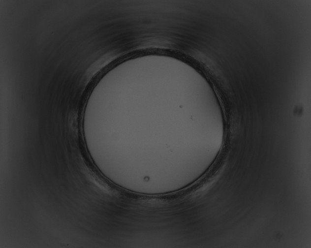 X0000091861113200710031034