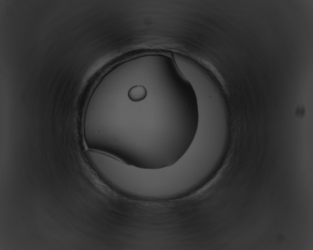 X0000091861114200710031034