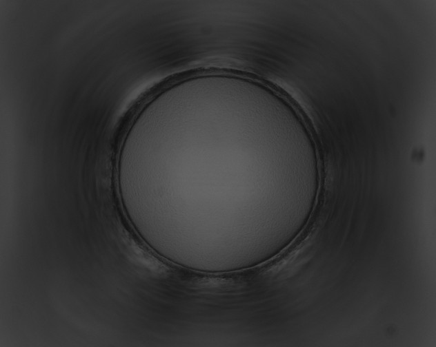 X0000091861115200710031034