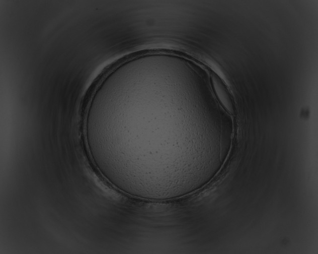 X0000091861116200710031035