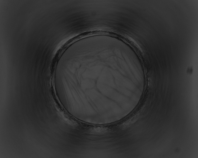 X0000091861117200710031035