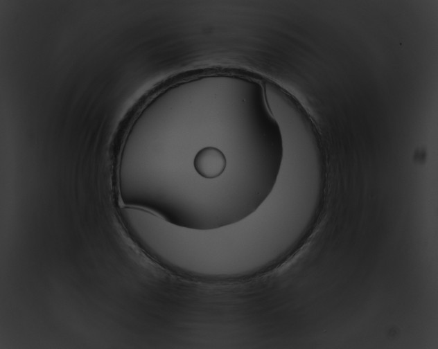 X0000091861118200710031035