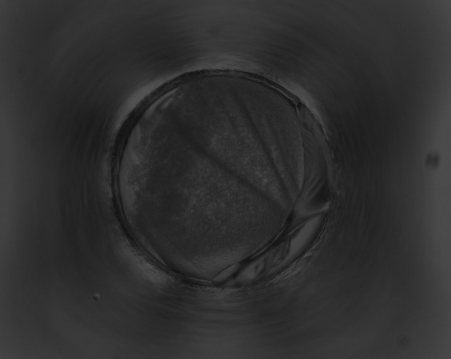 X0000091861120200710031035