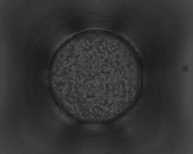 X0000091861121200710031035