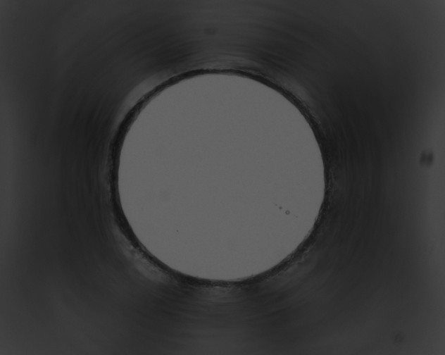 X0000091861122200710031035