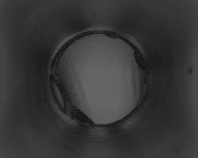 X0000091861124200710031035