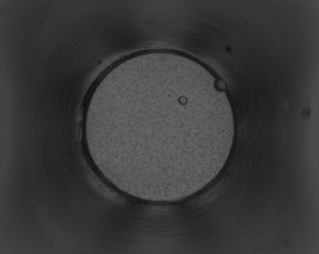 X0000091861126200710031035