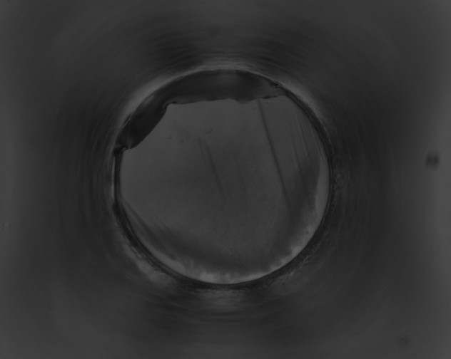 X0000091861127200710031035