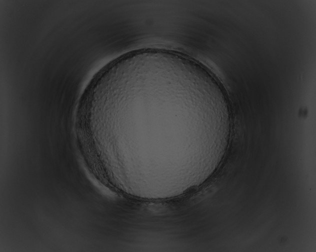 X0000091861128200710031035