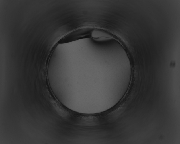 X0000091861129200710031035