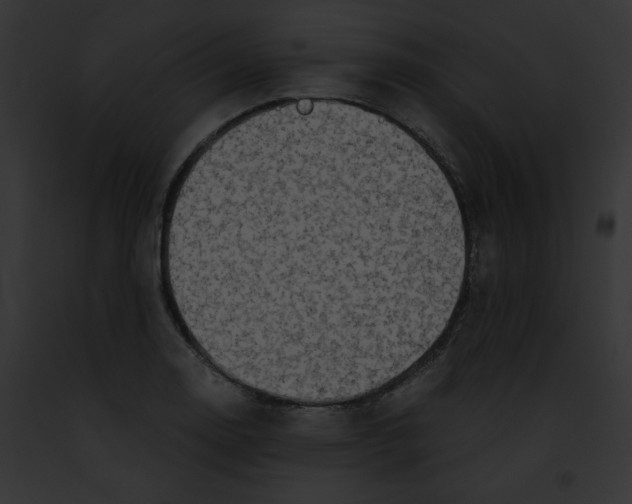 X0000091861130200710031035