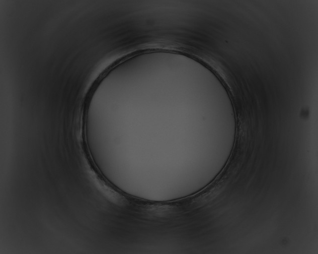 X0000091861131200710031035