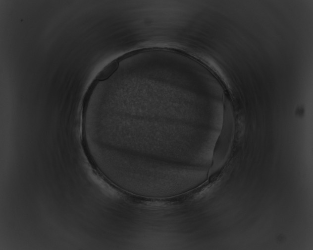 X0000091861132200710031035