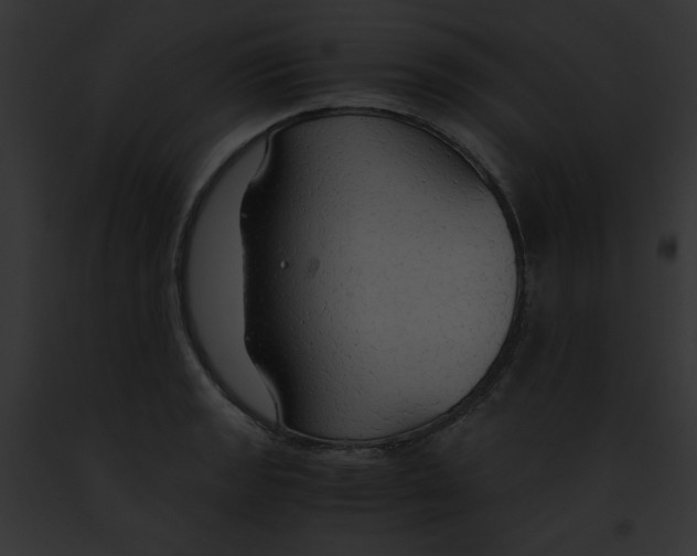 X0000091861133200710031035