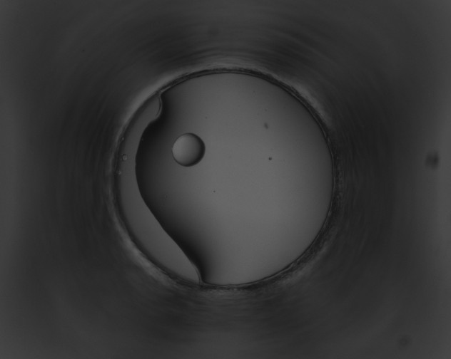 X0000091861134200710031035