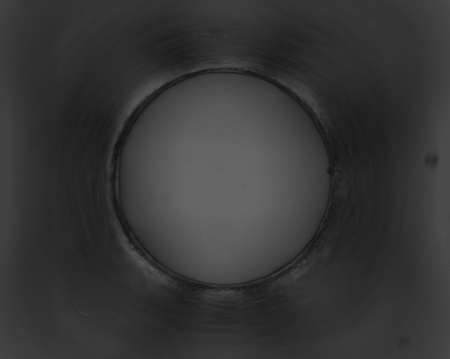 X0000091861135200710031035