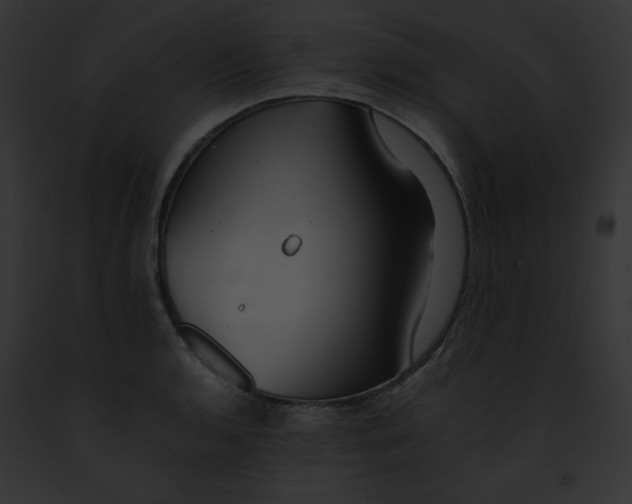 X0000091861136200710031035