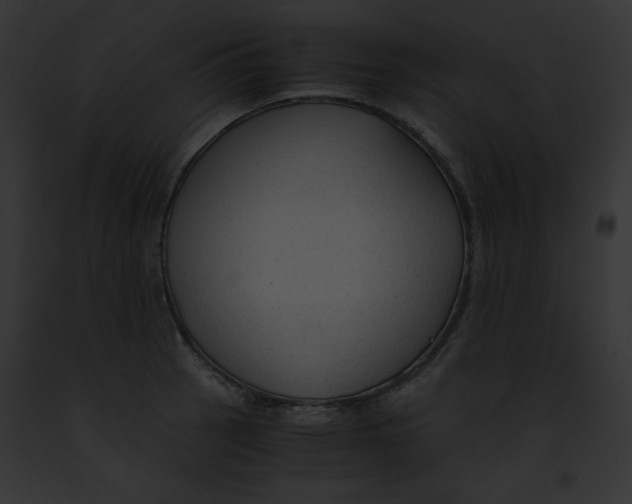 X0000091861137200710031035