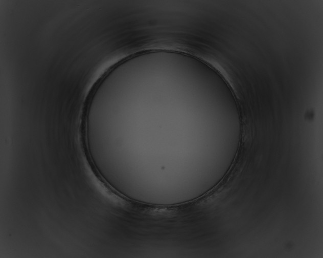 X0000091861139200710031035