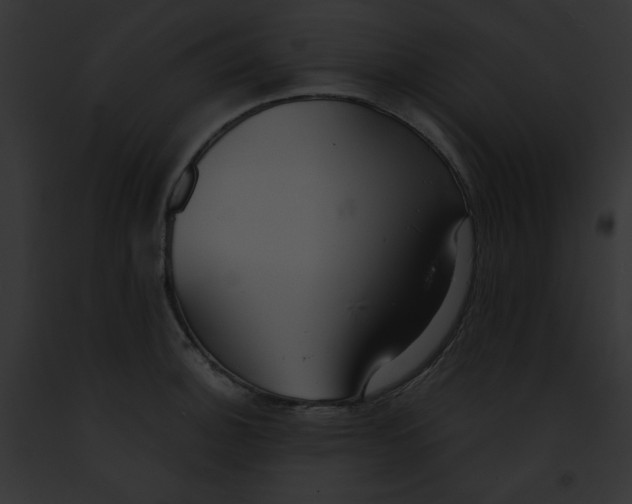 X0000091861140200710031035