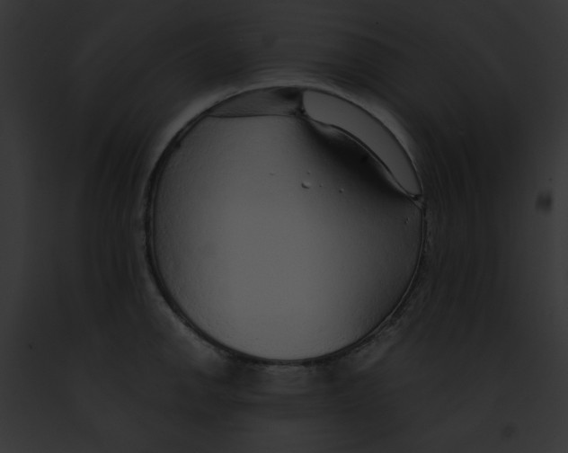 X0000091861142200710031035