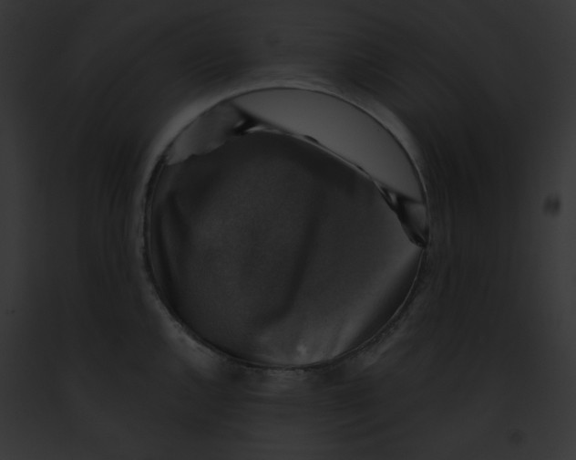 X0000091861144200710031035