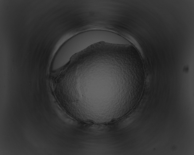 X0000091861146200710031035