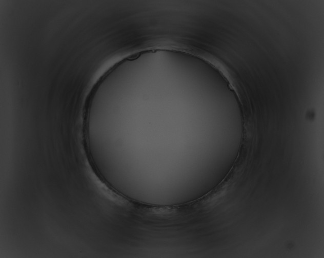 X0000091861147200710031035