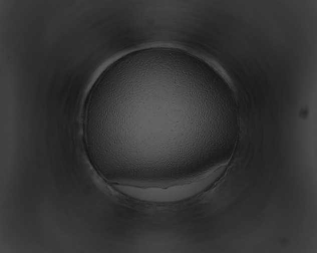 X0000091861148200710031035