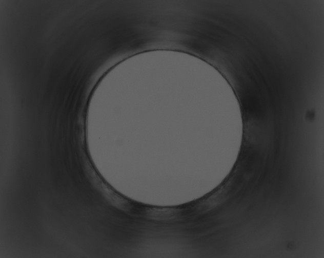 X0000091861150200710031035