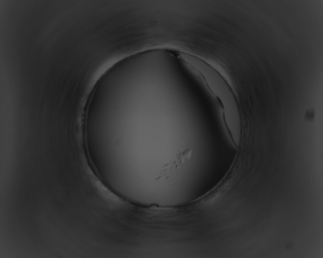 X0000091861151200710031035