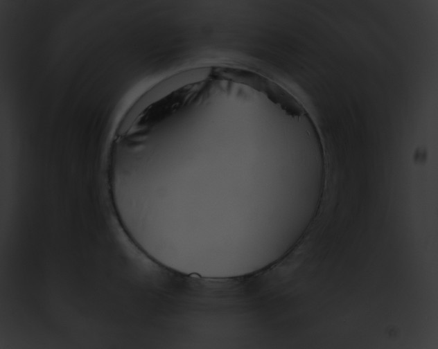 X0000091861152200710031035