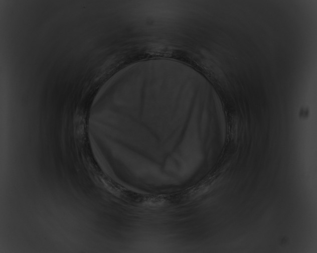 X0000091861154200710031034