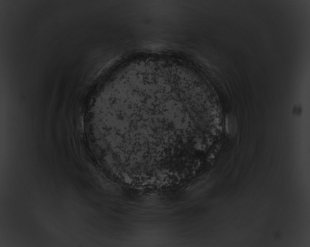 X0000091861155200710031034